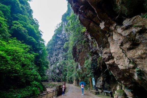 新一季株洲文旅推荐官畅聊会,他们来啦~