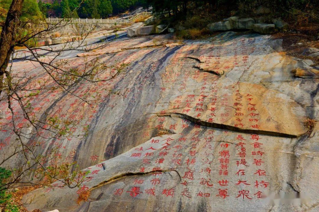 寻找神秘黄金
